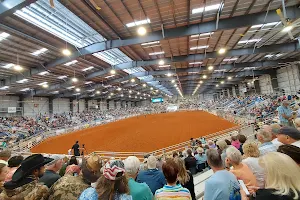 Mosaic Rodeo Arena image