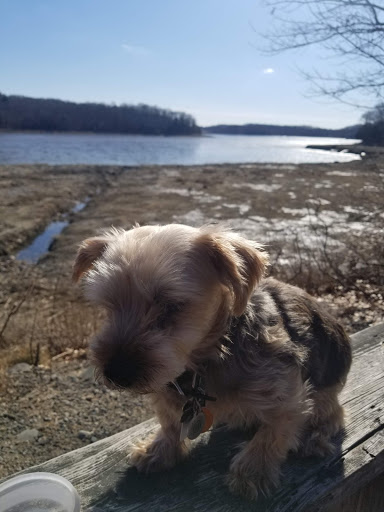 Park «Bare Cove Park», reviews and photos, Bare Cove Park Dr & Fort Hill St, Hingham, MA 02043, USA