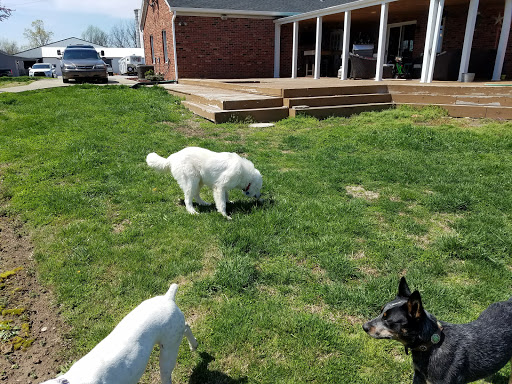 Karen's Pet Grooming