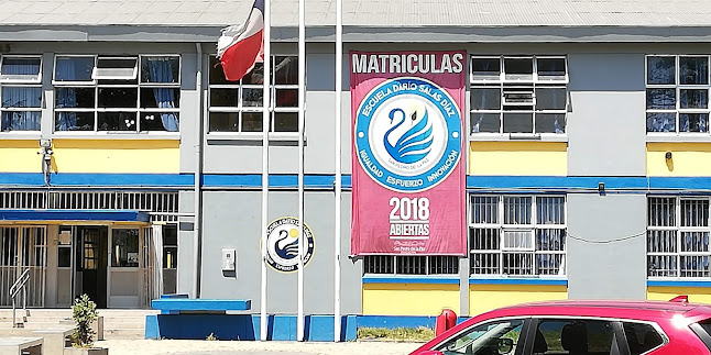 Opiniones de Escuela Darío Salas en San Pedro de La Paz - Escuela