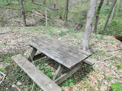 Nature Preserve «Starkey Park», reviews and photos, 667 Sugarbush Dr, Zionsville, IN 46077, USA