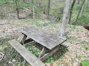 Starkey Park - photo 37