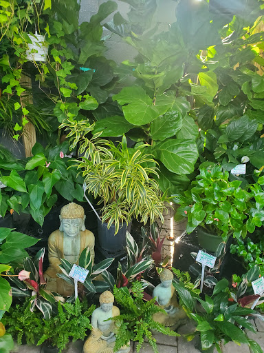 Grocery Store «Bayshore Market», reviews and photos, 5025 Bayshore Blvd, Tampa, FL 33611, USA