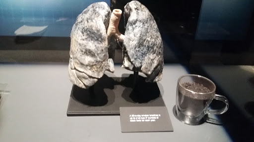 Imax Theater «Mcwane Center IMAX», reviews and photos, 205 19th St N, Birmingham, AL 35203, USA