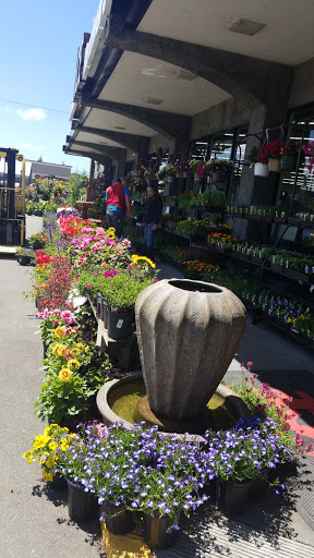 Hardware Store «Fortuna Ace Hardware & Garden Inc», reviews and photos, 140 S Fortuna Blvd, Fortuna, CA 95540, USA
