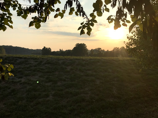 Country Club «Culpeper Country Club», reviews and photos, 2100 Country Club Rd, Culpeper, VA 22701, USA