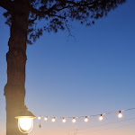 Photo n°2 de l'avis de Danilo.u fait le 09/08/2020 à 20:20 sur le  Osteria Della Contessa à Bellaria - Igea Marina