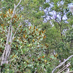 Photo n° 32 de l'avis de Aurelien.L fait le 23/08/2023 à 08:33 pour Zoo de La Flèche à La Flèche