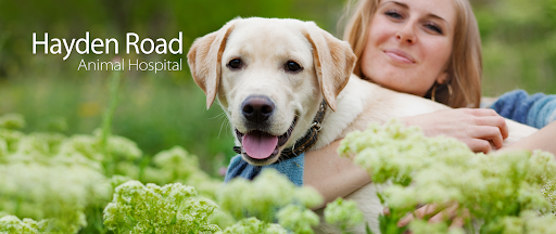 Hayden Road Animal Hospital image