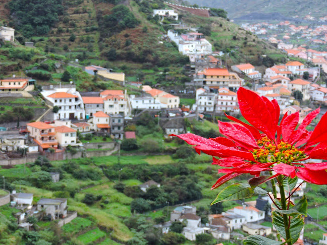Madeira Walks - Agência de viagens