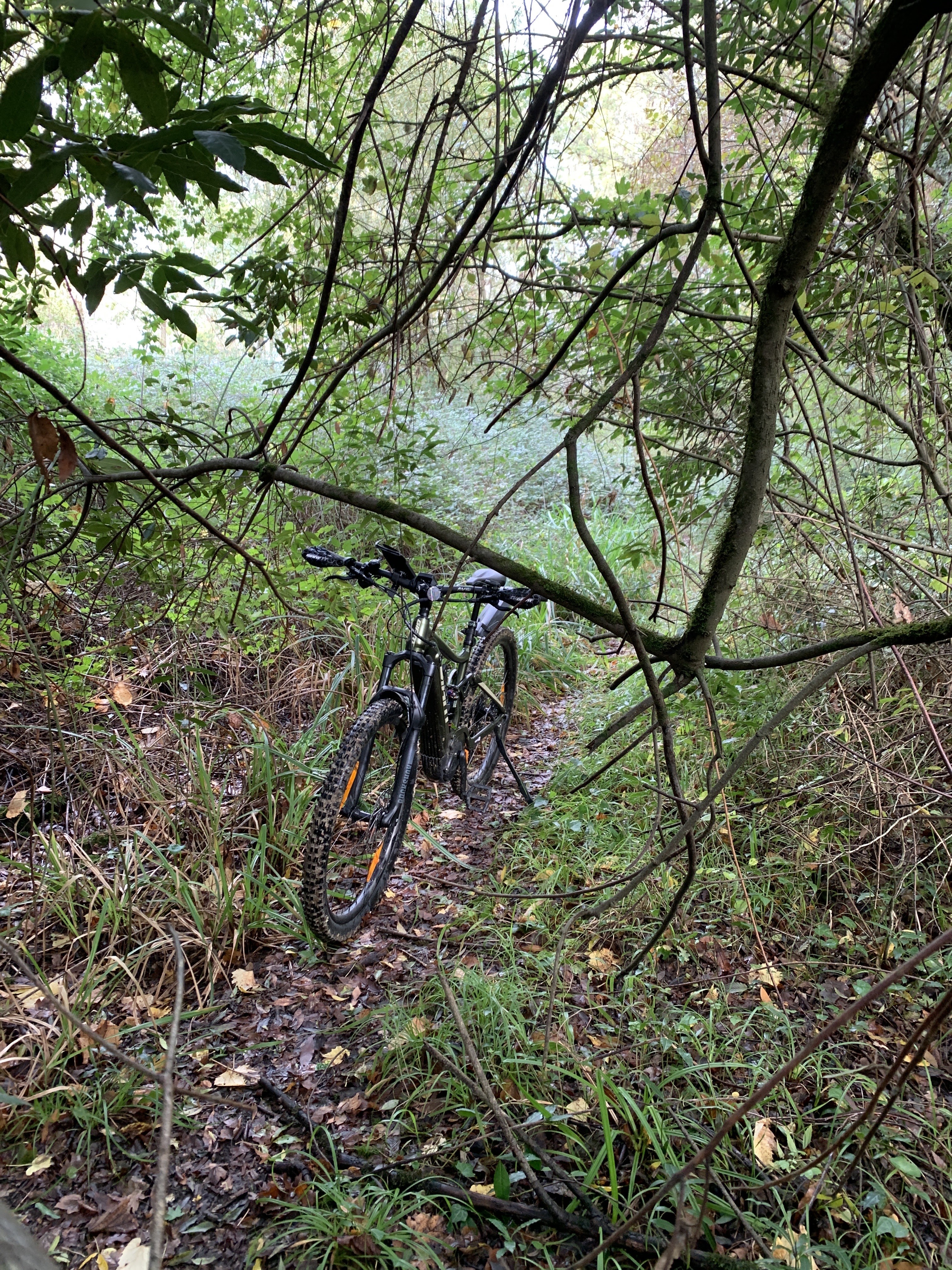 Photo n° 2 de l'avis de MARC. fait le 25/10/2023 à 16:24