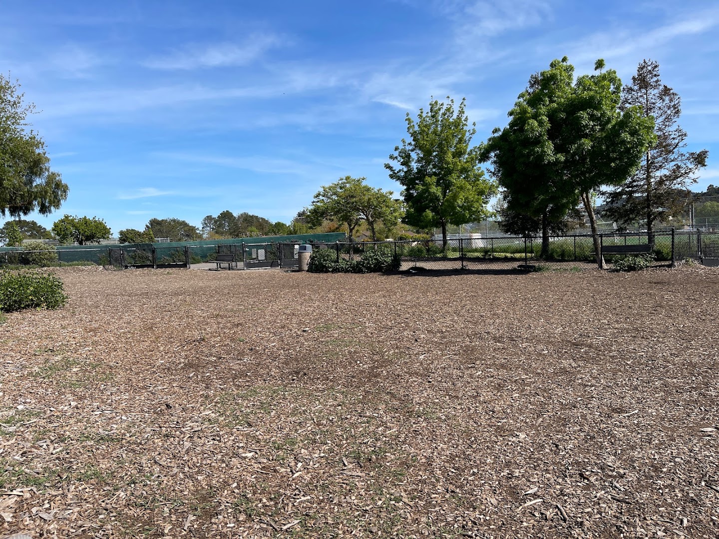 Dog Park | Piper Park