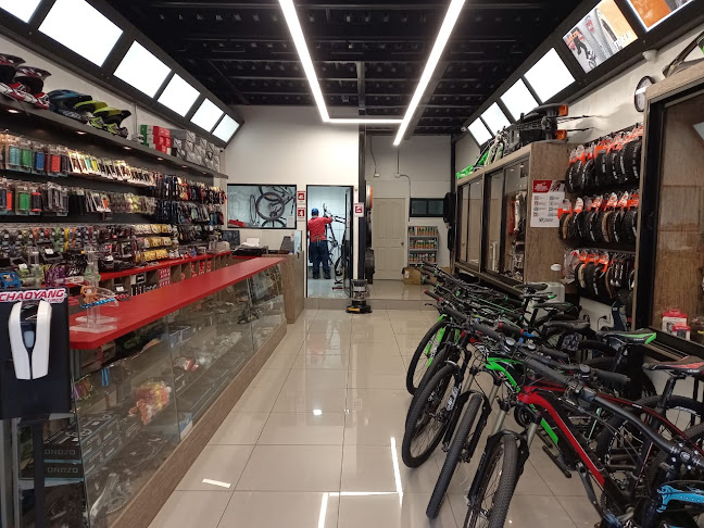 t-bikes-coquimbo.negocio.site