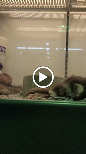 Pet Supply Store «Southern Agriculture», reviews and photos, 6501 E 71st St, Tulsa, OK 74133, USA