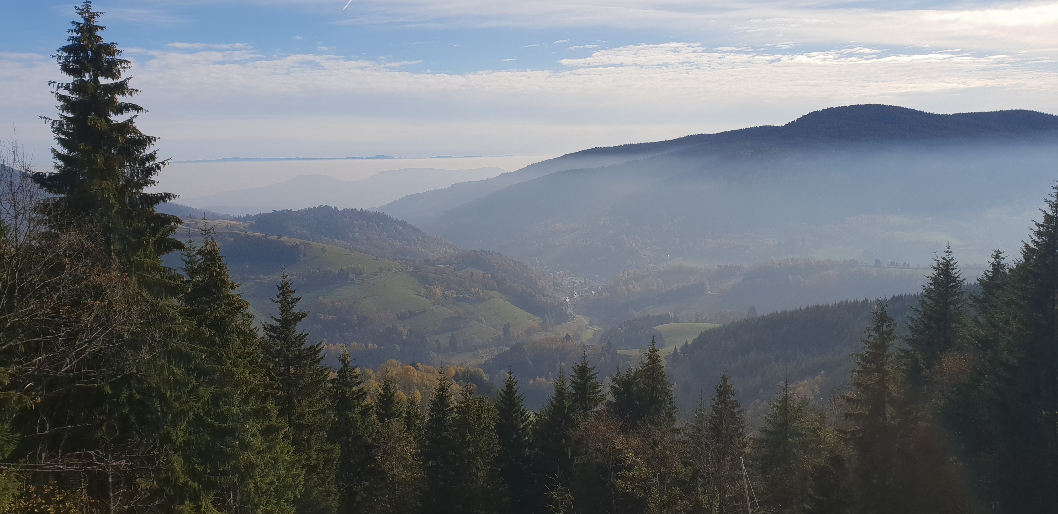 Photo n° 1 de l'avis de Angélique.E fait le 16/11/2018 à 21:53