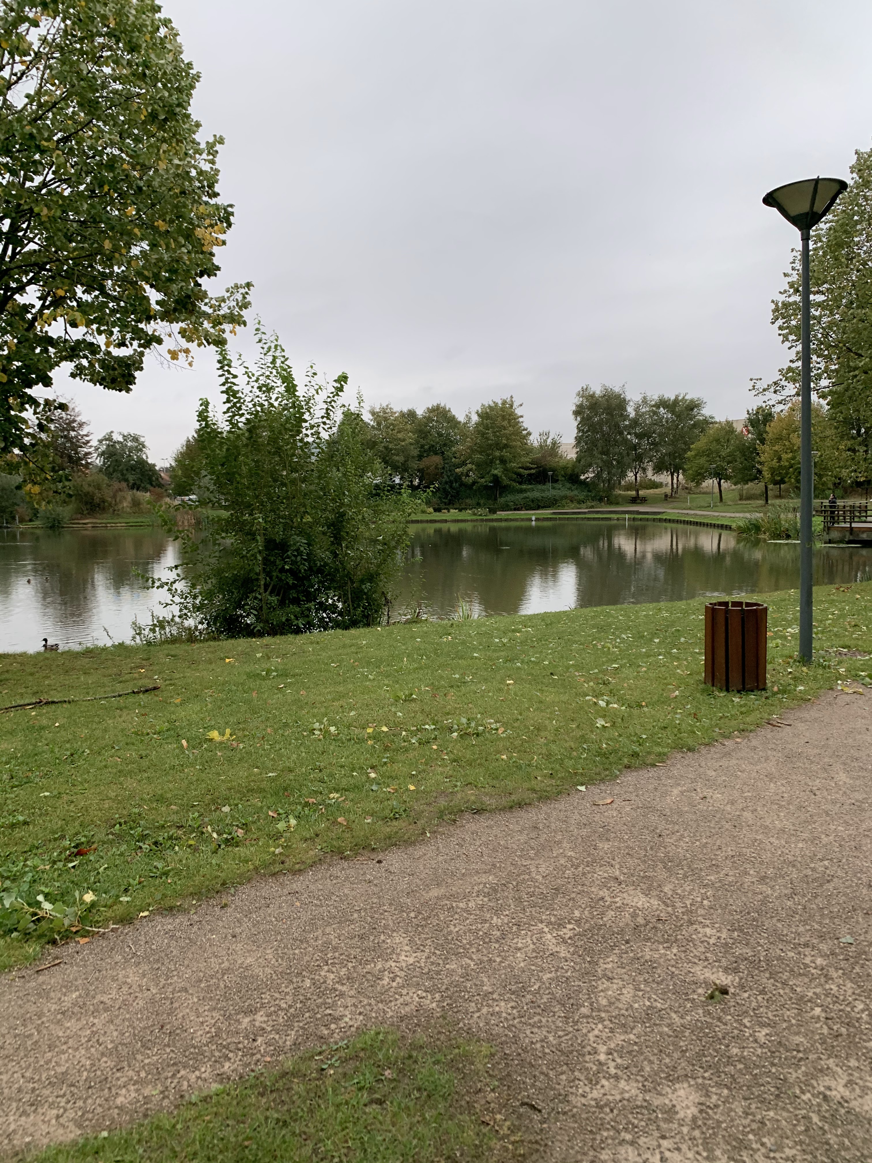 Photo n° 2 de l'avis de Lost.r fait le 01/10/2020 à 09:17