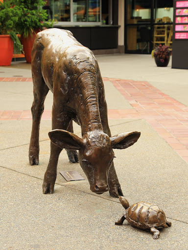 Computer Store «Apple University Village», reviews and photos, 2656 NE University Village St, Seattle, WA 98105, USA