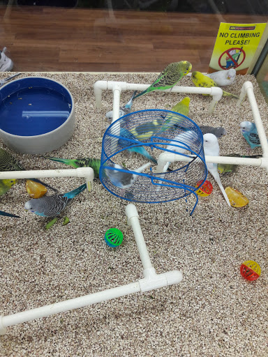 Pet Supply Store «Pet Supermarket, Inc.», reviews and photos, 9985 Business Cir N #10, Naples, FL 34112, USA