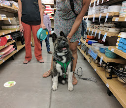 Petco Juriquilla photo