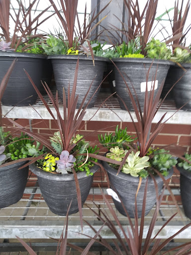 Home Improvement Store «Menards», reviews and photos, 6220 US-6, Portage, IN 46368, USA