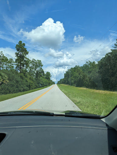 National Forest «Ocala National Forest», reviews and photos, FL-40, Silver Springs, FL 34488, USA