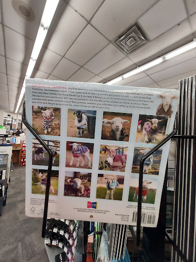 Drug Store «CVS», reviews and photos, 23391 Farmington Rd, Farmington, MI 48336, USA