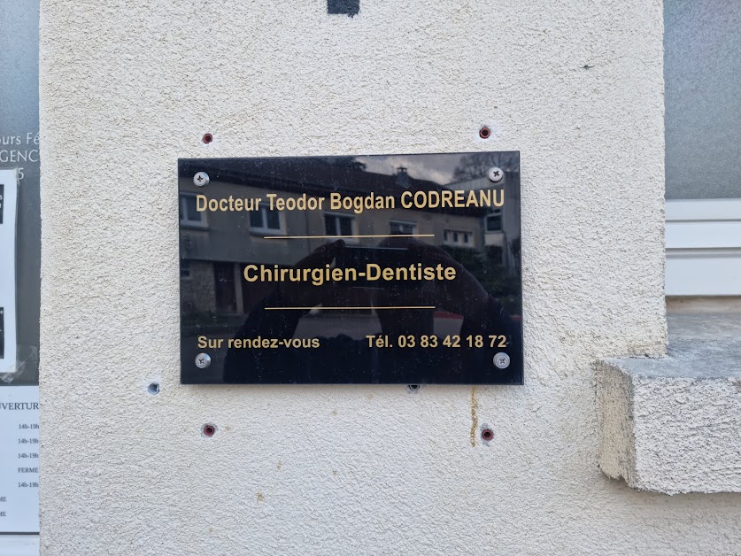 Docteur Teodor Bogdan CODREANU Docteur Andrada Maria Crişu à Badonviller (Meurthe-et-Moselle 54)