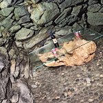 Photo n°1 de l'avis de Roby.c fait le 12/02/2022 à 15:08 sur le  Crotto Belvedere à Prosto