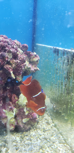 Pet Supply Store «Petco Animal Supplies», reviews and photos, 859 Kings Creek Dr, Tupelo, MS 38804, USA