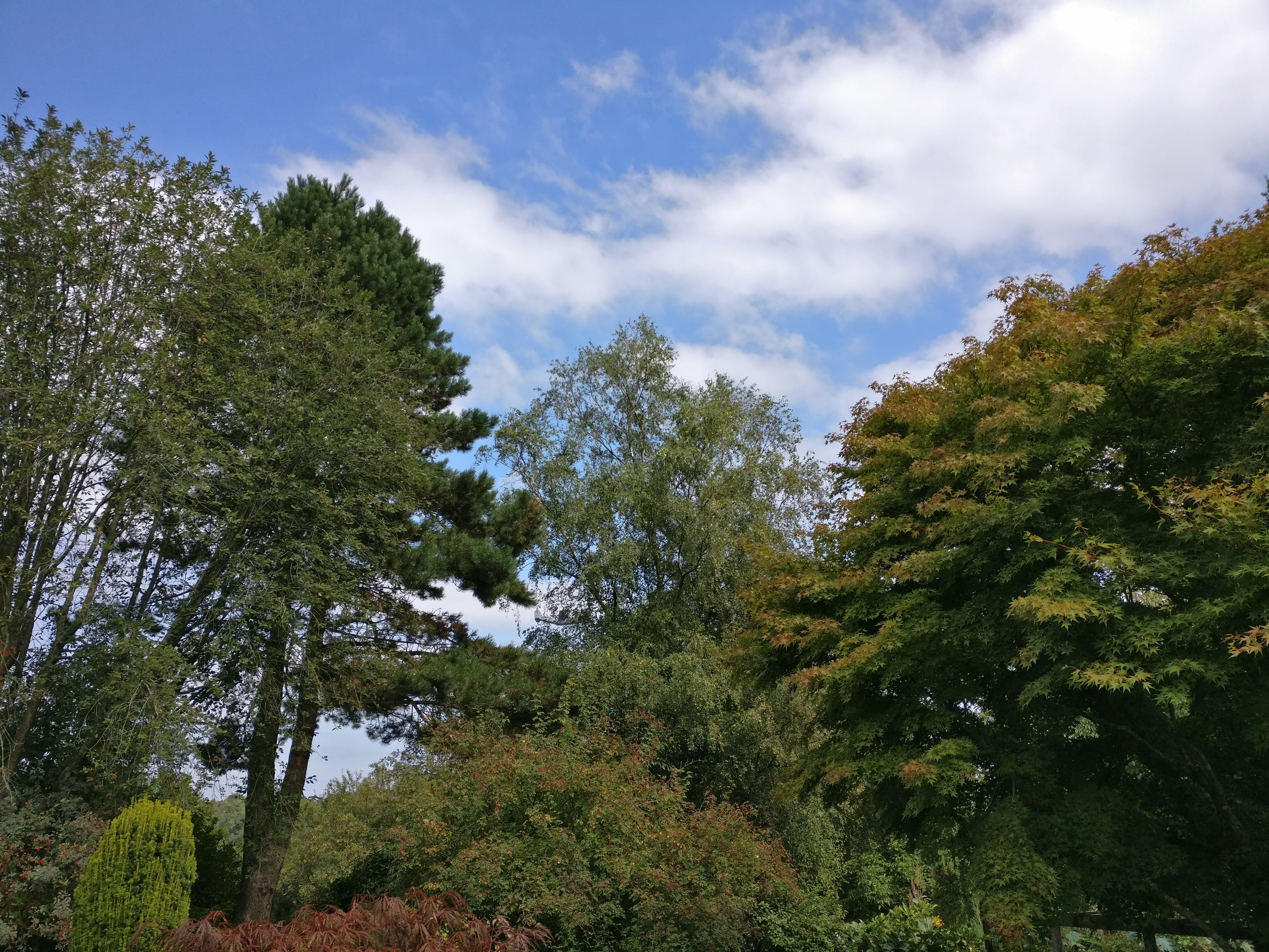 Photo n° 4 de l'avis de Michael.o fait le 13/09/2018 à 13:03