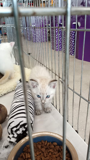 Pet Store «Pet World - Auburndale», reviews and photos, 3637 Havendale Blvd, Auburndale, FL 33823, USA