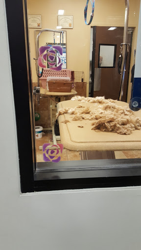 Pet Supply Store «PetSmart», reviews and photos, 140 Barrington Rd, Schaumburg, IL 60194, USA