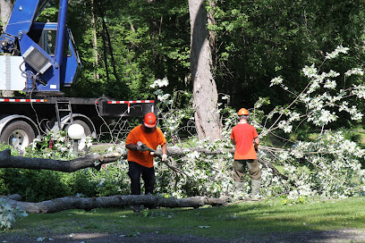 Ottawa Canopy Tree Service