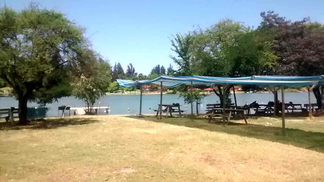 lagorapelchile.cl