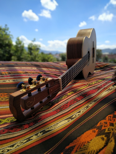 Guitarras Áurea - Tienda de instrumentos musicales