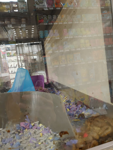 Pet Supply Store «Petco Animal Supplies», reviews and photos, 2435 N Hwy 67, Florissant, MO 63033, USA