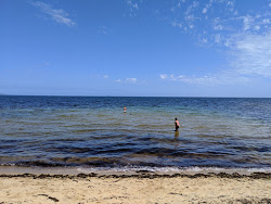 Fosters Beach'in fotoğrafı geniş bir kıyı şeridi ile birlikte