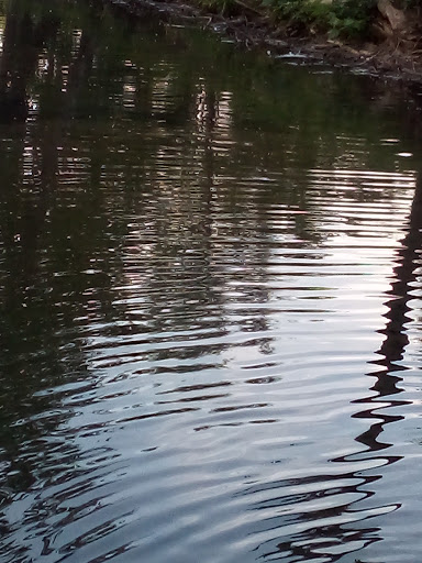 Art Museum «Richmond Art Museum», reviews and photos, 350 Hub Etchison Pkwy, Richmond, IN 47374, USA