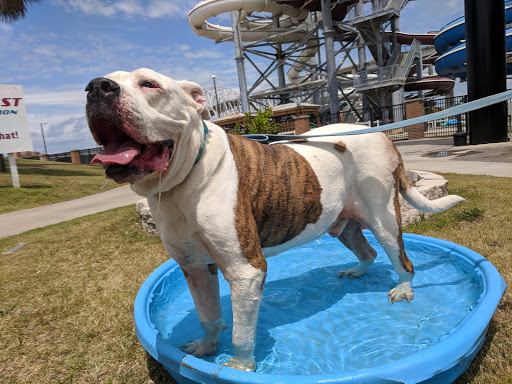 Baseball Field «Whataburger Field», reviews and photos, 734 E Port Ave, Corpus Christi, TX 78401, USA