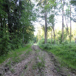 Photo n°19 de l'avis de Udo.t fait le 25/11/2018 à 09:13 sur le  Uckermark Ferienhaus am Kuhzer See in Alleinlage à Boitzenburger Land