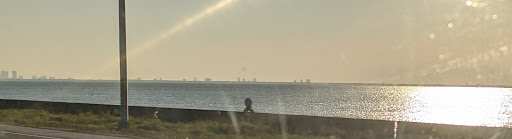 Bridge «Howard Frankland Bridge», reviews and photos, I-275, Tampa, FL 33609, USA