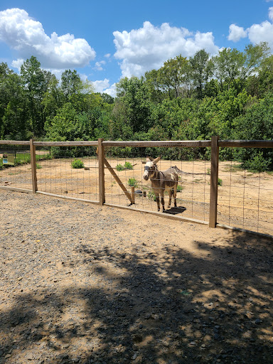 Zoo «Gators and Friends», reviews and photos, 11441 US-80, Greenwood, LA 71033, USA