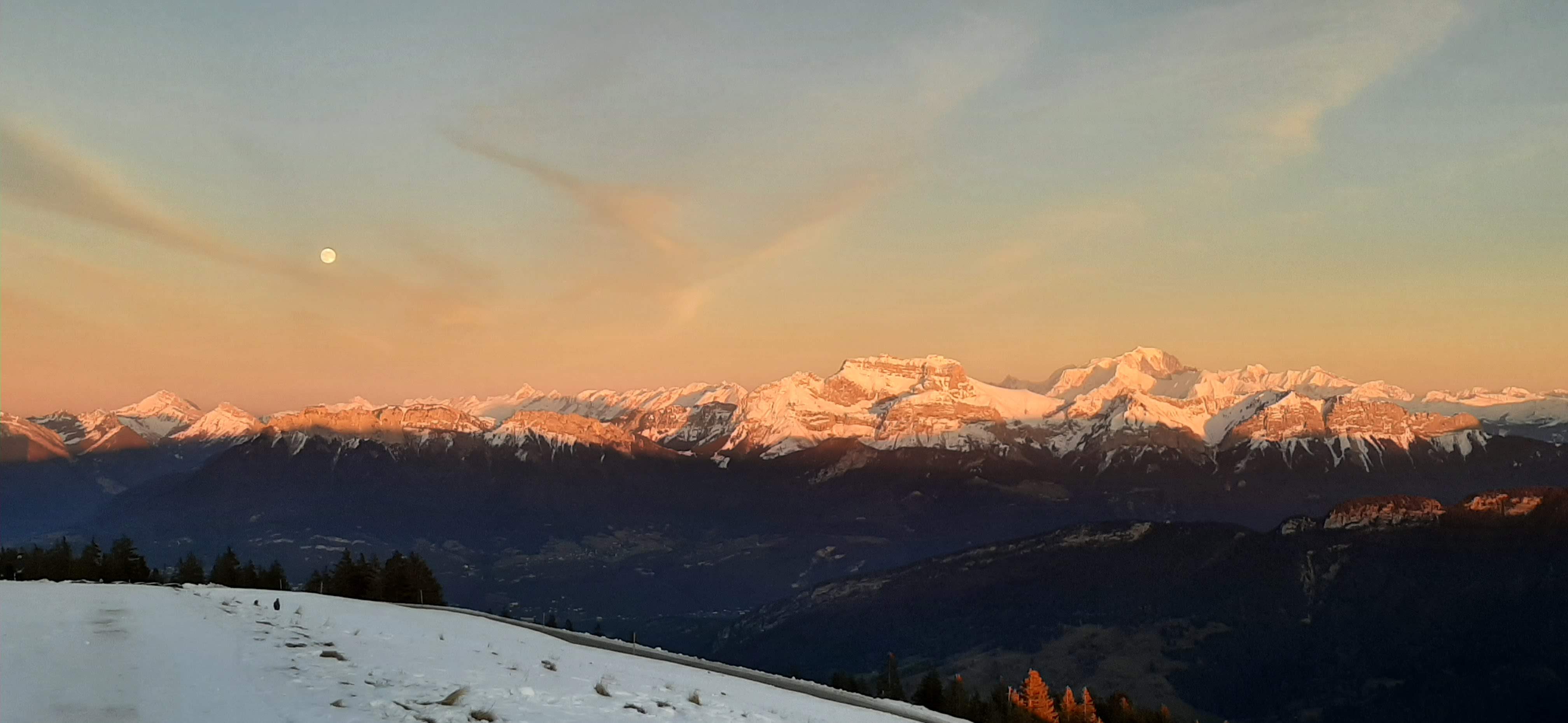 Photo n° 4 de l'avis de Marie.e fait le 26/12/2023 à 16:50