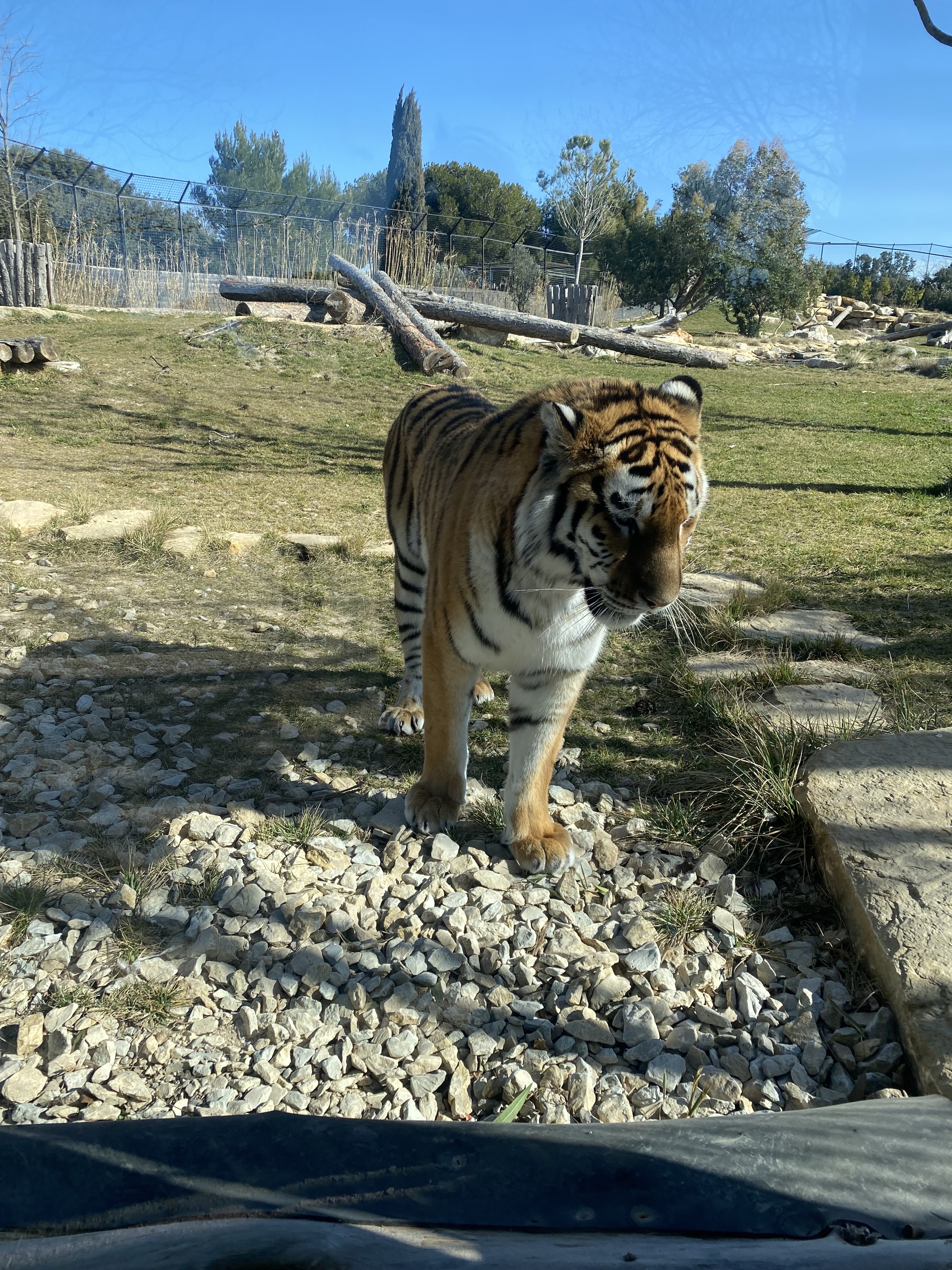 Photo n° 1 de l'avis de Aurélie. fait le 11/02/2022 à 18:54