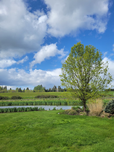 Winery «Three Brothers Vineyard and Winery», reviews and photos, 2411 NE 244th St, Ridgefield, WA 98642, USA
