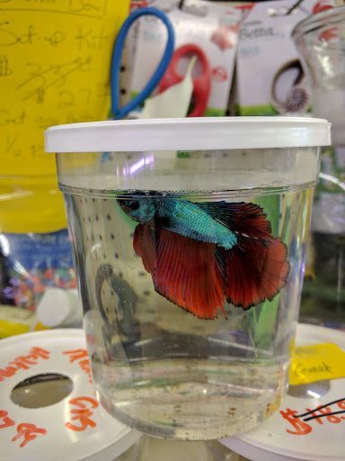 Pet Supply Store «Panhandle Pet Supply», reviews and photos, 3661 N Monroe St, Tallahassee, FL 32303, USA