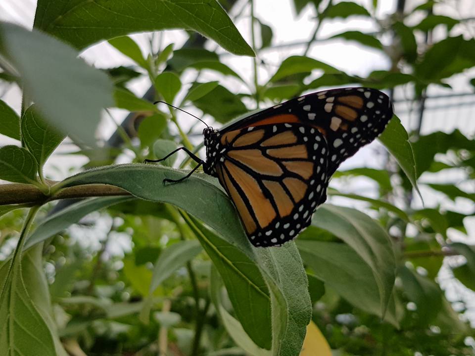 Photo n° 13 de l'avis de Evelyne.i fait le 26/05/2019 à 18:32
