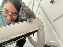 Cat Whisperers LLC - Photo 2 - Car repair in , Austin