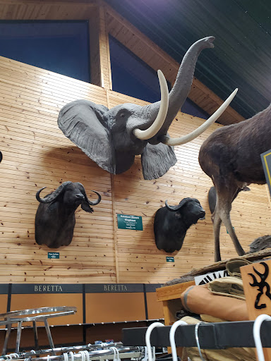 Sporting Goods Store «Midwestern Shooters Supply», reviews and photos, 191 Church St, Lomira, WI 53048, USA