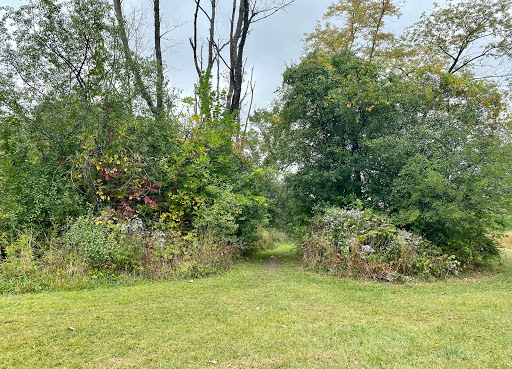 Dog Park «Beck Lake Off-Leash Dog Area», reviews and photos, 9700 Gloria Ct, Glenview, IL 60025, USA